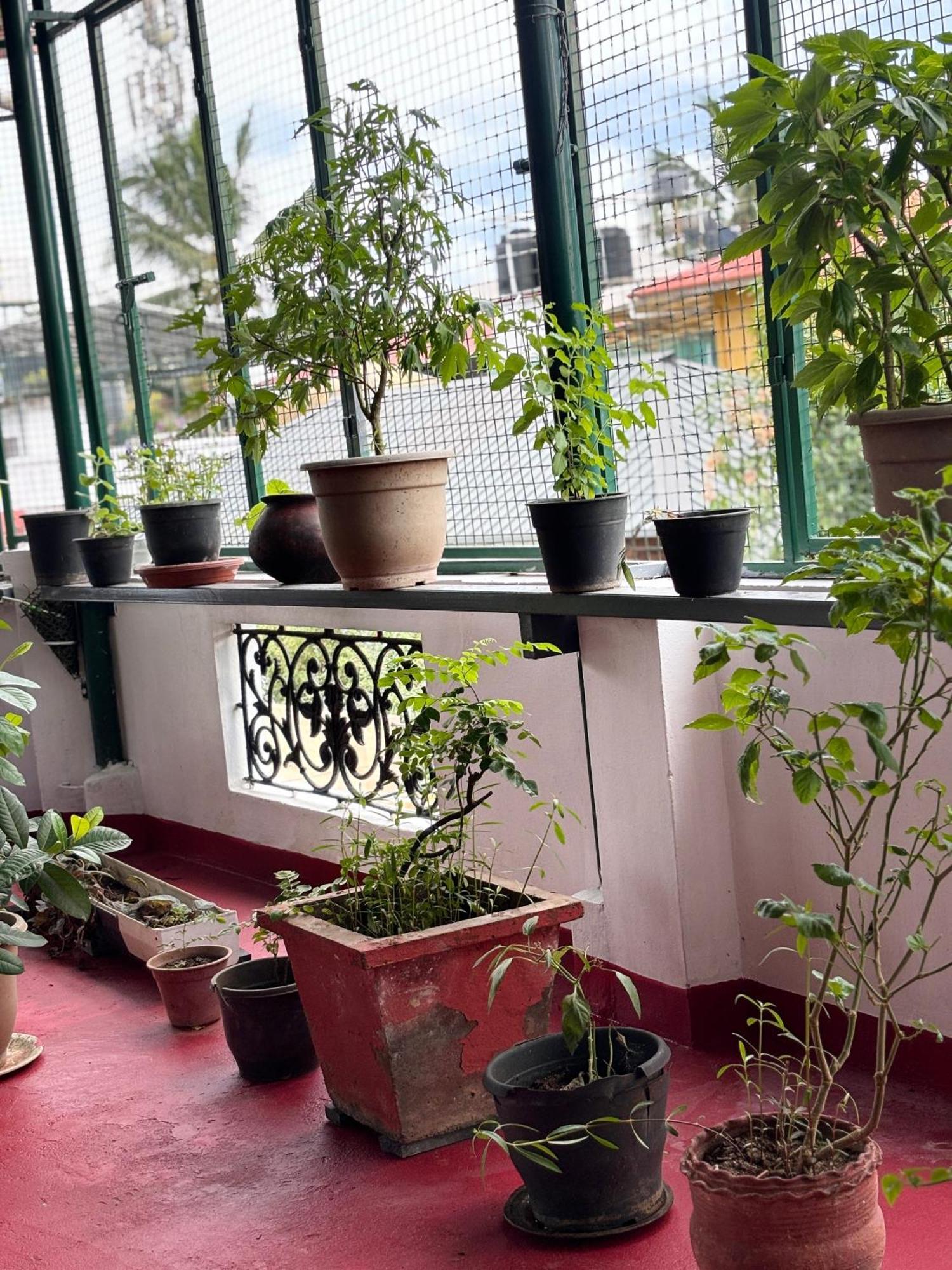 Beza Homestay Kochi エクステリア 写真